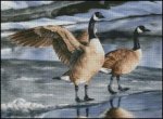 (image for) Room for Two